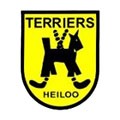 Terriërs/Castricum JO11-3 Logo